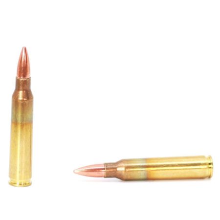 5.56 NATO 55 Grain FMJ M193 20 Rounds